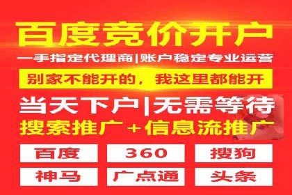 竞价排名失败案例：原因与教训